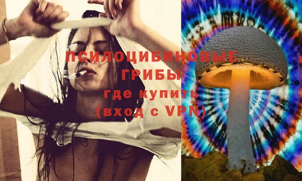сатива Абдулино